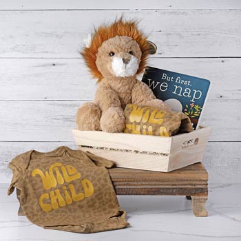 Baby Wild Life Gift Basket