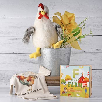 Baby Chicken Coop Gift Basket