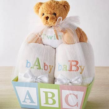 Welcome Twins Gift Basket