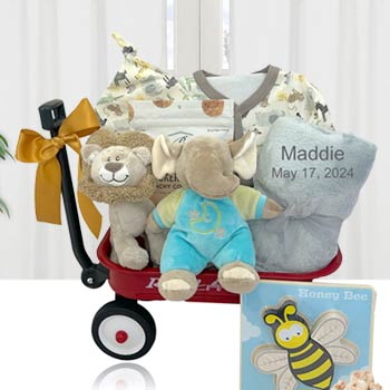 Safari Personalized Baby Basket